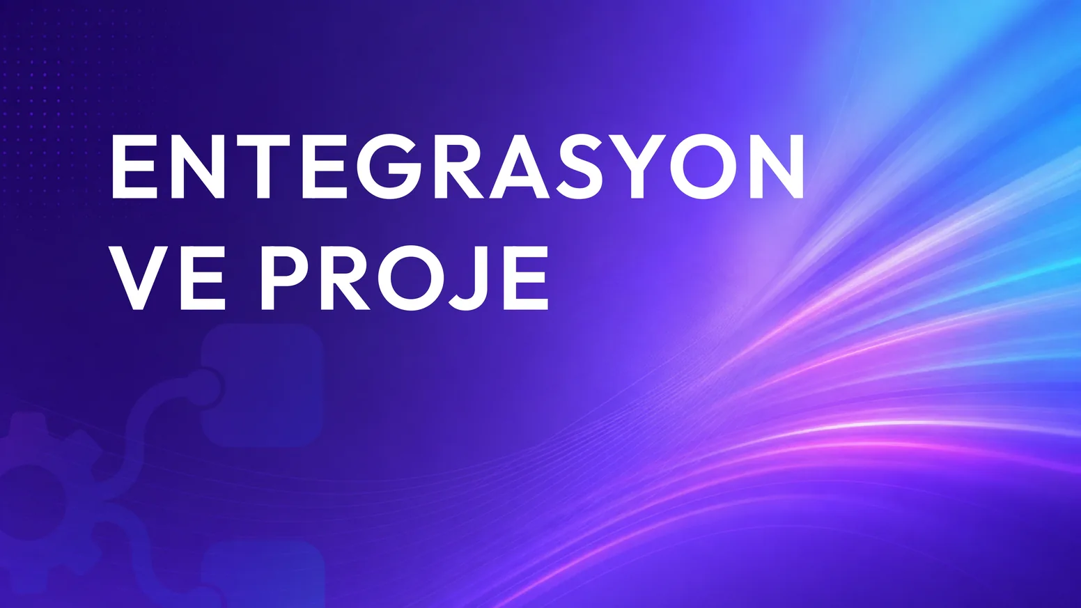 Entegrasyon ve Proje I